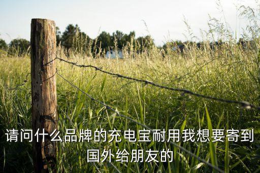 请问什么品牌的充电宝耐用我想要寄到国外给朋友的