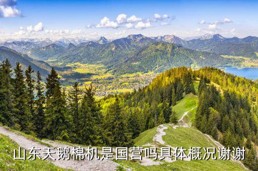 山东天鹅棉机是国营吗具体概况谢谢