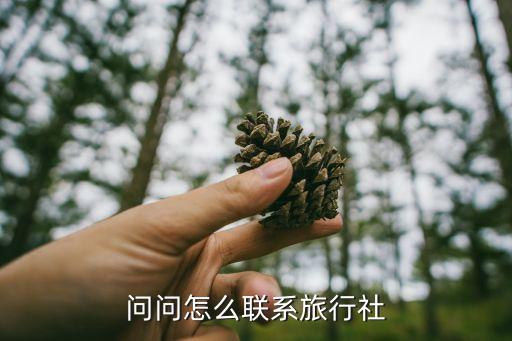 旅行社在线咨询，问问怎么联系旅行社
