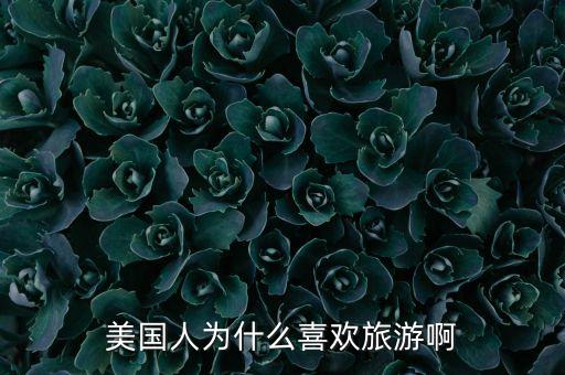 国外人为什么喜欢旅游，美国人为什么喜欢旅游啊
