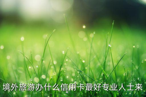 国外旅游办什么信用卡好，出国旅游用什么信用卡最好