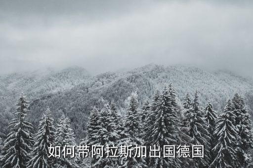 如何带阿拉斯加出国德国
