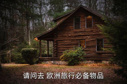 请问去 欧洲旅行必备物品