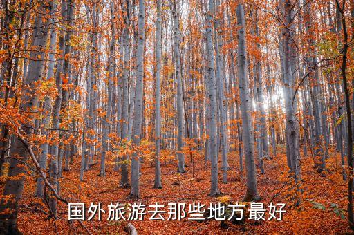 国外旅游去那些地方最好