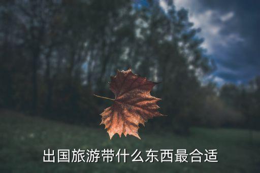 国外旅游买哪些东西好一些，到欧洲旅游买什么
