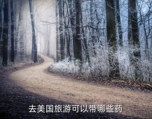 去美国旅游可以带哪些药