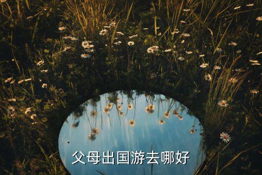 父母出国游去哪好