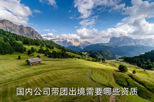 带团旅游国外需要什么条件，随旅游团出国旅游需要什么条件