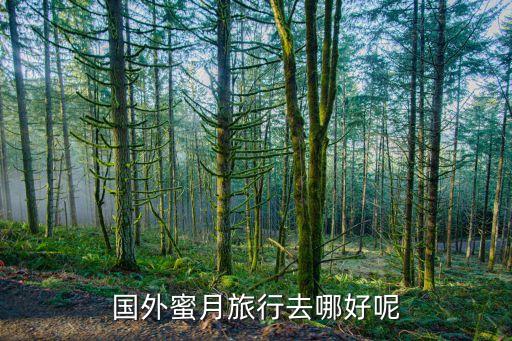 国外蜜月旅行去哪好呢