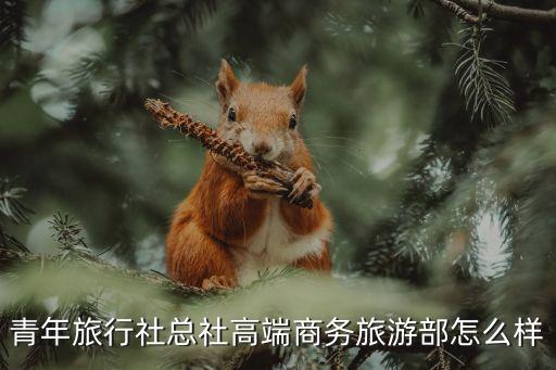 青年旅行社总社高端商务旅游部怎么样