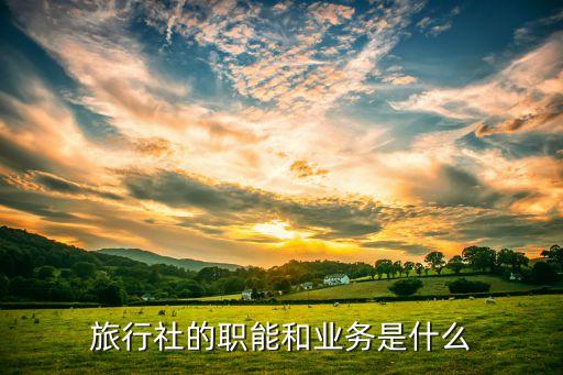 旅行社的职能和业务是什么