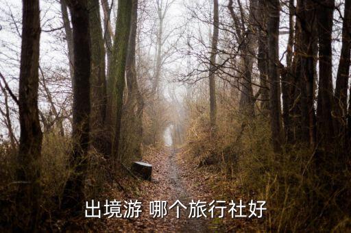 出境游 哪个旅行社好