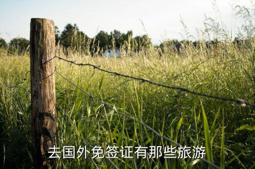 去国外免签证有那些旅游