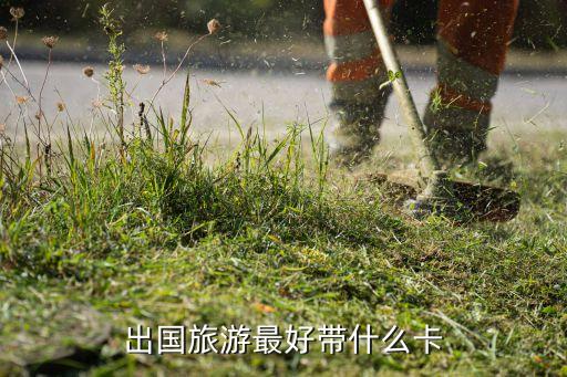 出国旅游最好带什么卡