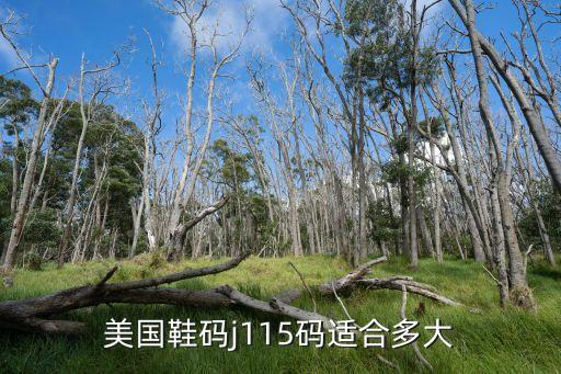 美国鞋码j115码适合多大