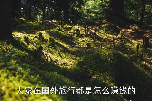 大家在国外旅行都是怎么赚钱的