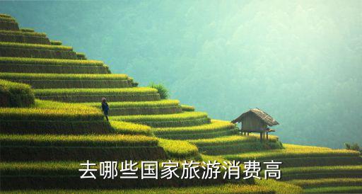 去哪些国家旅游消费高