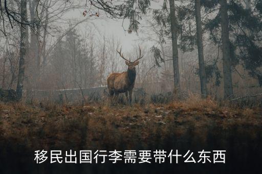 移民火星带什么去国外旅游，冬季去国外哪里旅游比较好