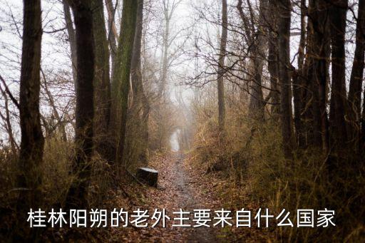 桂林阳朔的老外主要来自什么国家