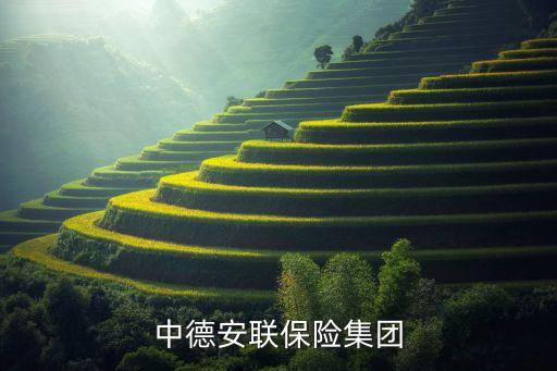中德安联保险集团