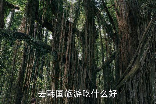 国外旅游吃什么好吃的饭，在美国除西歺外还有什么饭可适合中国人吃