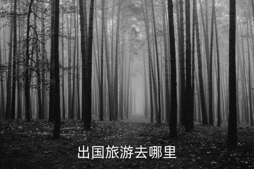 出国旅游去哪里