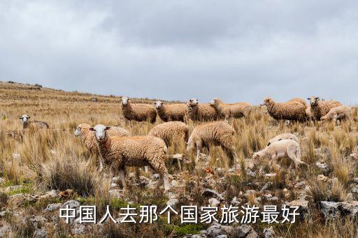 中国人去那个国家旅游最好