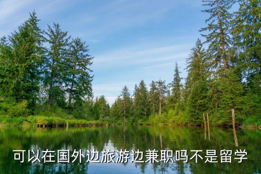 国外旅游能做什么，可以在国外边旅游边兼职吗不是留学