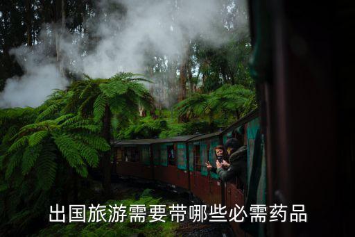 现在到国外旅游带什么药品，出国旅游需要带哪些必需药品
