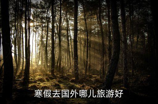 寒假去国外哪儿旅游好