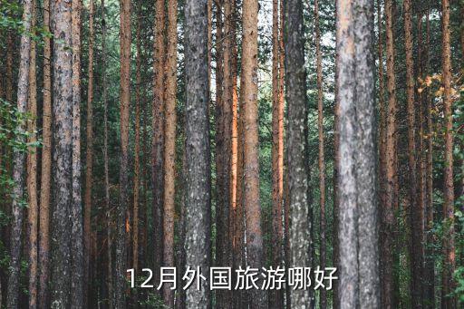 12月外国旅游哪好