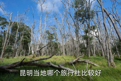 昆明当地哪个旅行社比较好