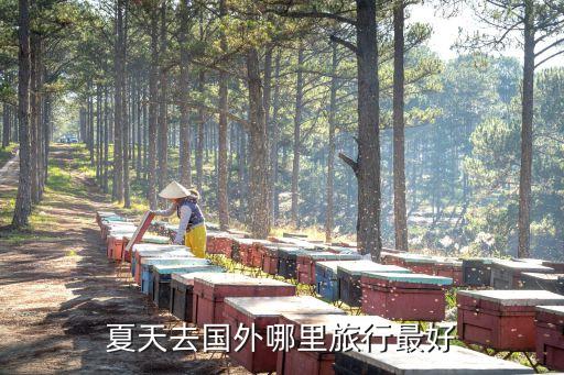夏天国外哪里旅游，夏天去国外哪里旅行最好