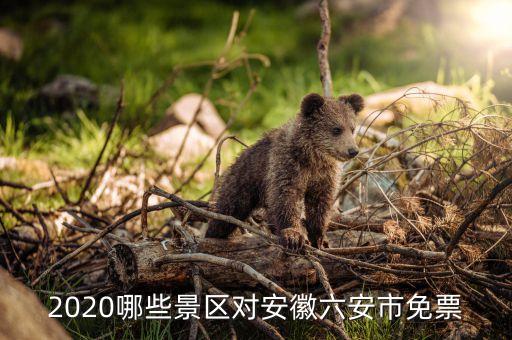 2020哪些景区对安徽六安市免票
