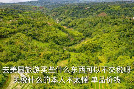 去美国旅游买些什么东西可以不交税呀关税什么的本人不太懂 单品价钱