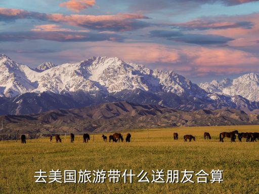 去美国旅游带什么送朋友合算