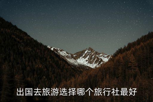 哪家旅游公司最好的，哪个旅行社好一点