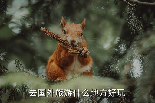 去国外旅游什么地方好玩