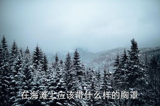 在海滩上应该带什么样的胸罩