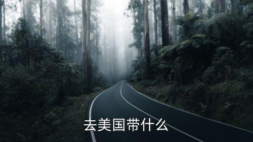 去美国带什么