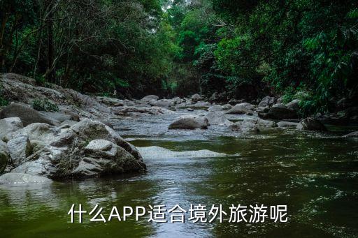 什么APP适合境外旅游呢