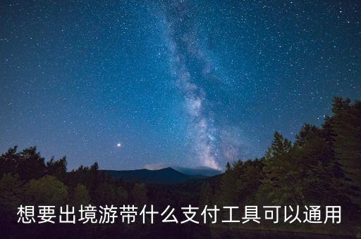 想要出境游带什么支付工具可以通用