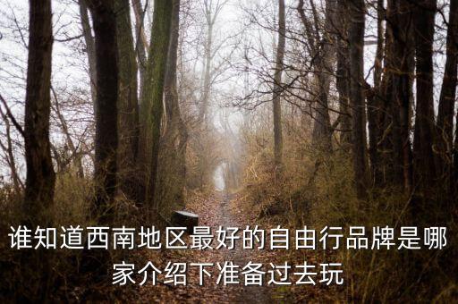 谁知道西南地区最好的自由行品牌是哪家介绍下准备过去玩