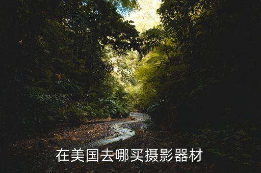 国外旅游摄影器材品牌有哪些，老外用的小型相机是什么品牌的