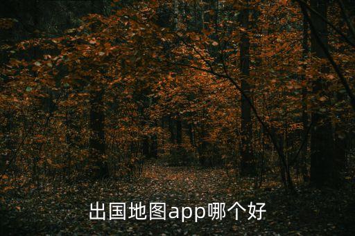 出国地图app哪个好
