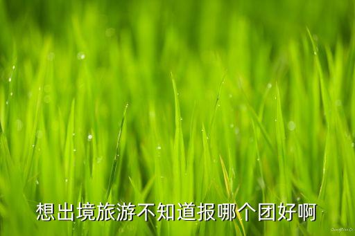 想出境旅游不知道报哪个团好啊