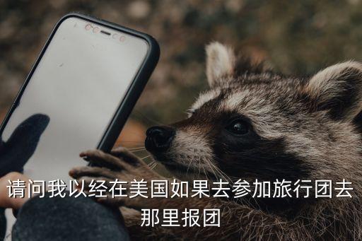 请问我以经在美国如果去参加旅行团去那里报团