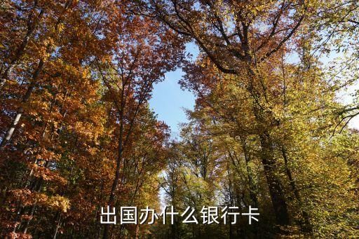 出国办什么银行卡