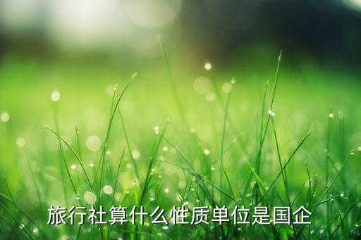 旅行社算什么性质单位是国企