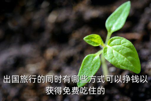 出国旅行的同时有哪些方式可以挣钱以获得免费吃住的